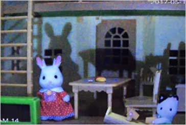 夜間監視カメラ
