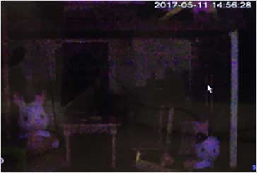 通常カメラ